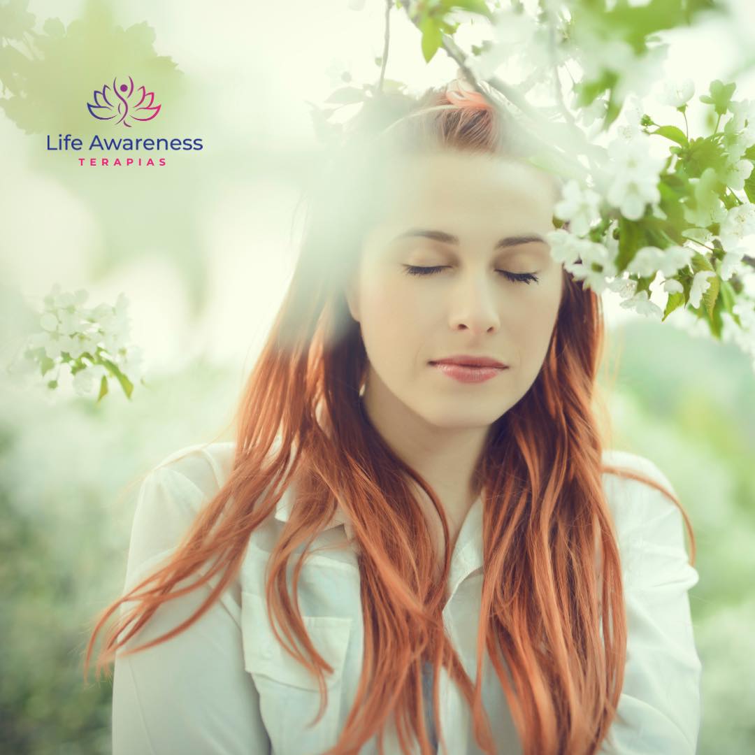 518286266_1262341331922891_4694453773232255551_n