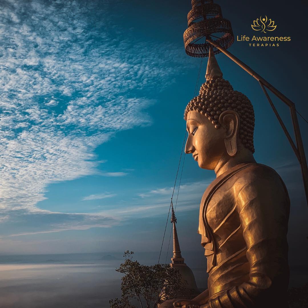 518286266_1262341331922891_4694453773232255551_n