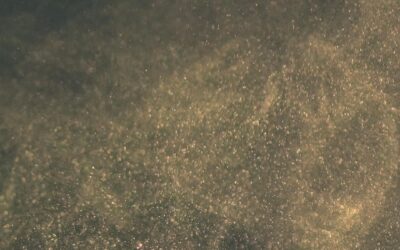 Optar pelo silêncio